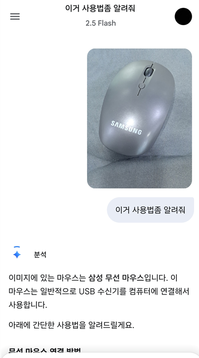 사진과 함께 질문하기