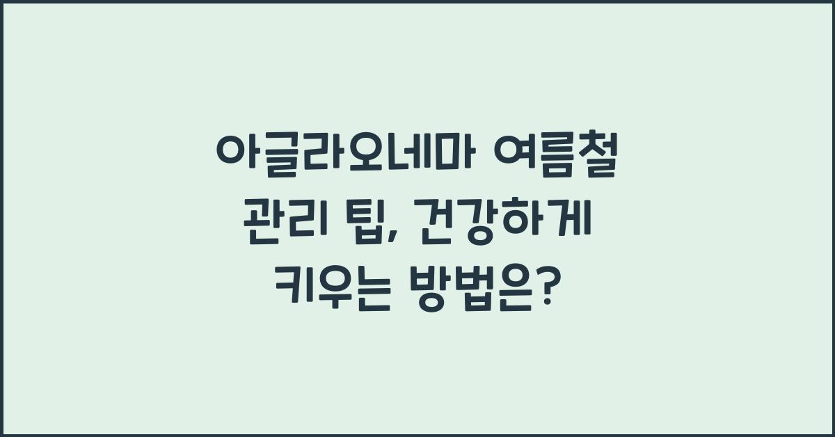 아글라오네마 여름철 관리 팁