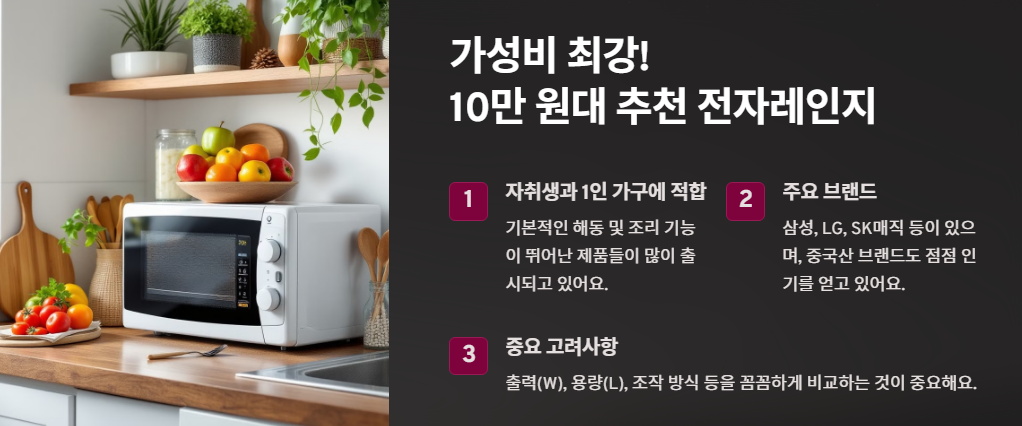 가성비 최강! 10만 원대 추천 전자레인지