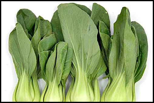 칼로리 낮은 음식 순위 추천 8 칼로리 낮은 음식 순위 추천 8