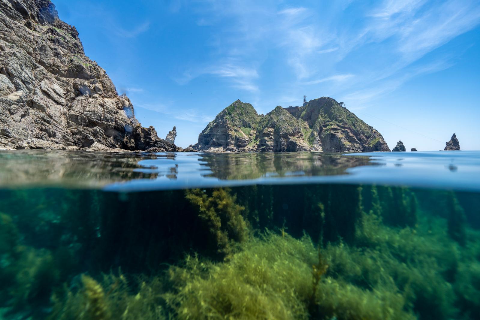 독도(동도) 대한민국의 심장을 밟다
