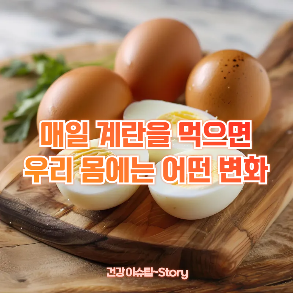 매일 계란을 먹으면 우리 몸에는 어떤 변화