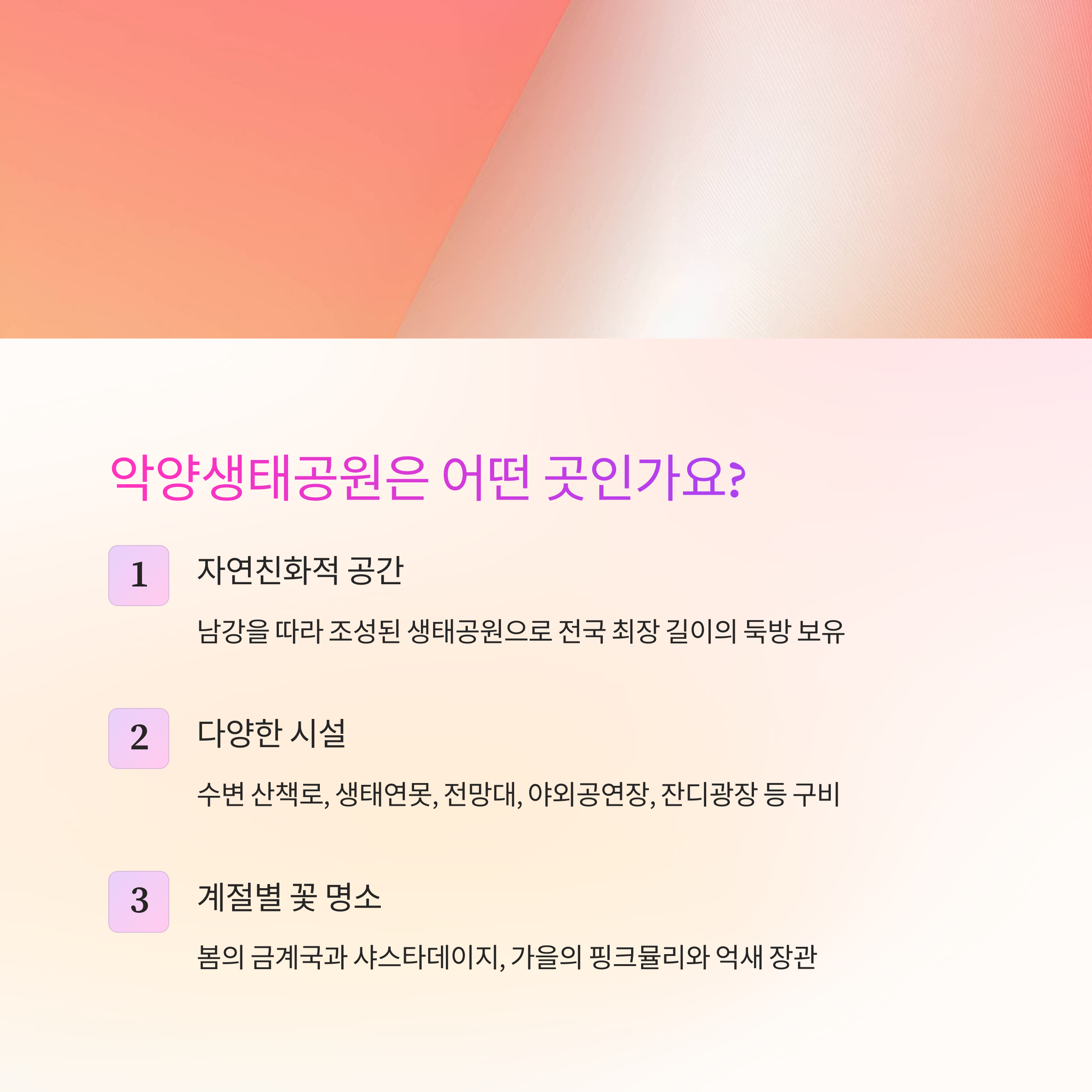 함안 악양생태공원 완벽 가이드