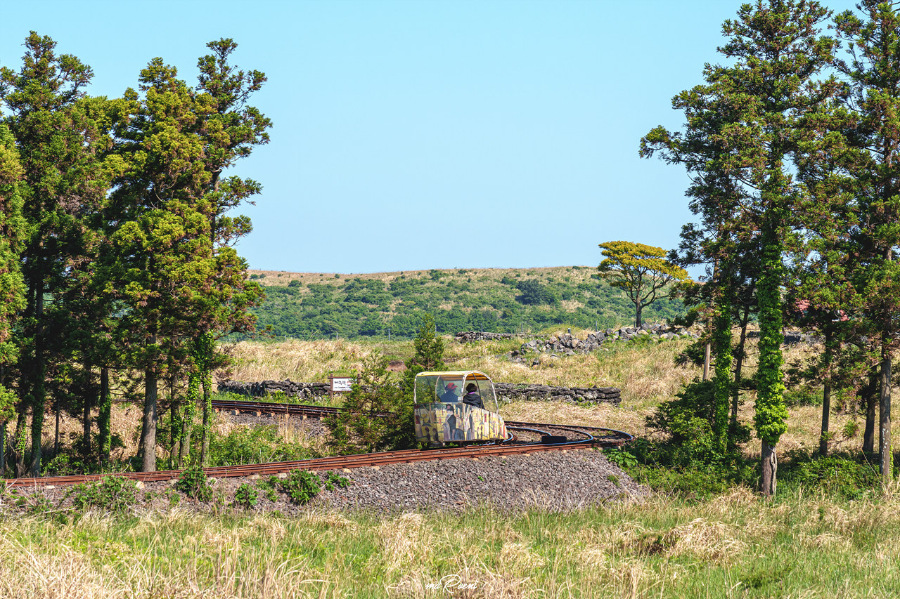 제주 레일바이크