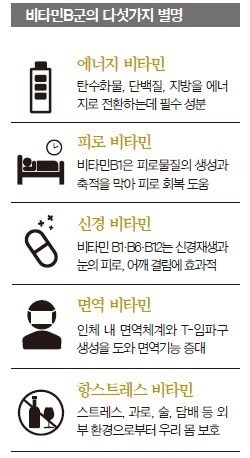 비타민 B