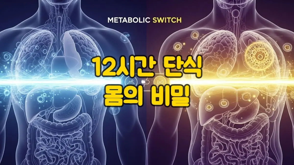 인체 내에서 포도당 연소에서 지방 연소로 전환되는 '대사 스위치' 과정을 시각적으로 표현한 신비로운 이미지. 보라색과 노란색의 에너지 흐름이 대조를 이루며 건강한 변화를 상징함.