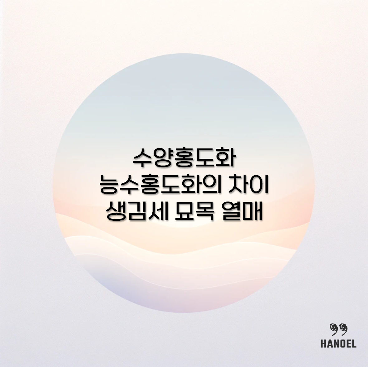 수양홍도화 능수홍도화의 차이 생김세 묘목 열매