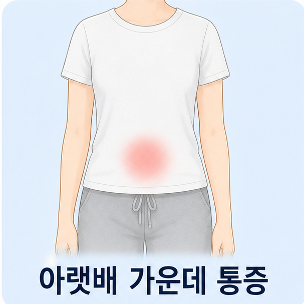 사람 몸통의 배꼽 아래 가운데 부위를 표시한 아랫배 가운데 통증 대표 이미지