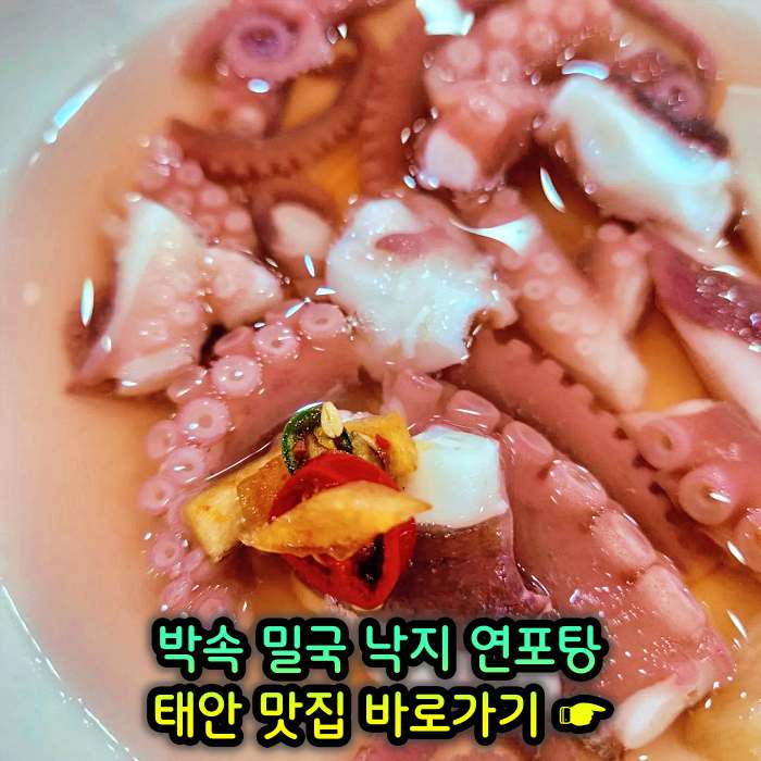 생방송 투데이 충남 태안 낙지 한상 박속밀국낙지탕 맛집