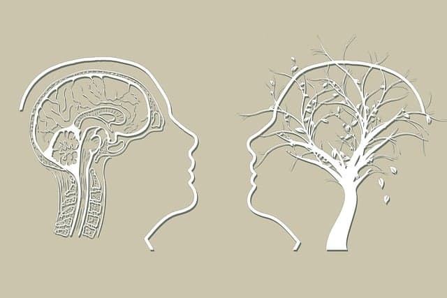 감정과 뇌 회로의 상호 연결 작용