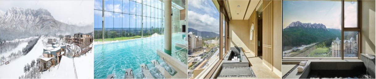 소노펠리체 델피노