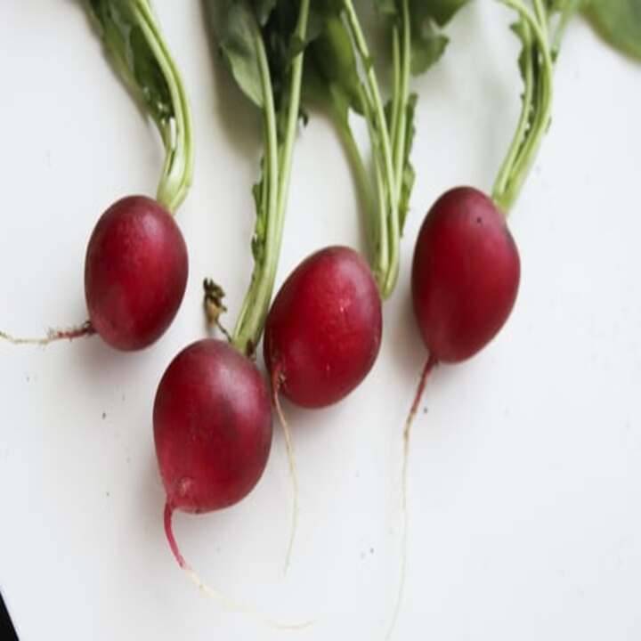 순무 효능 및 부작용