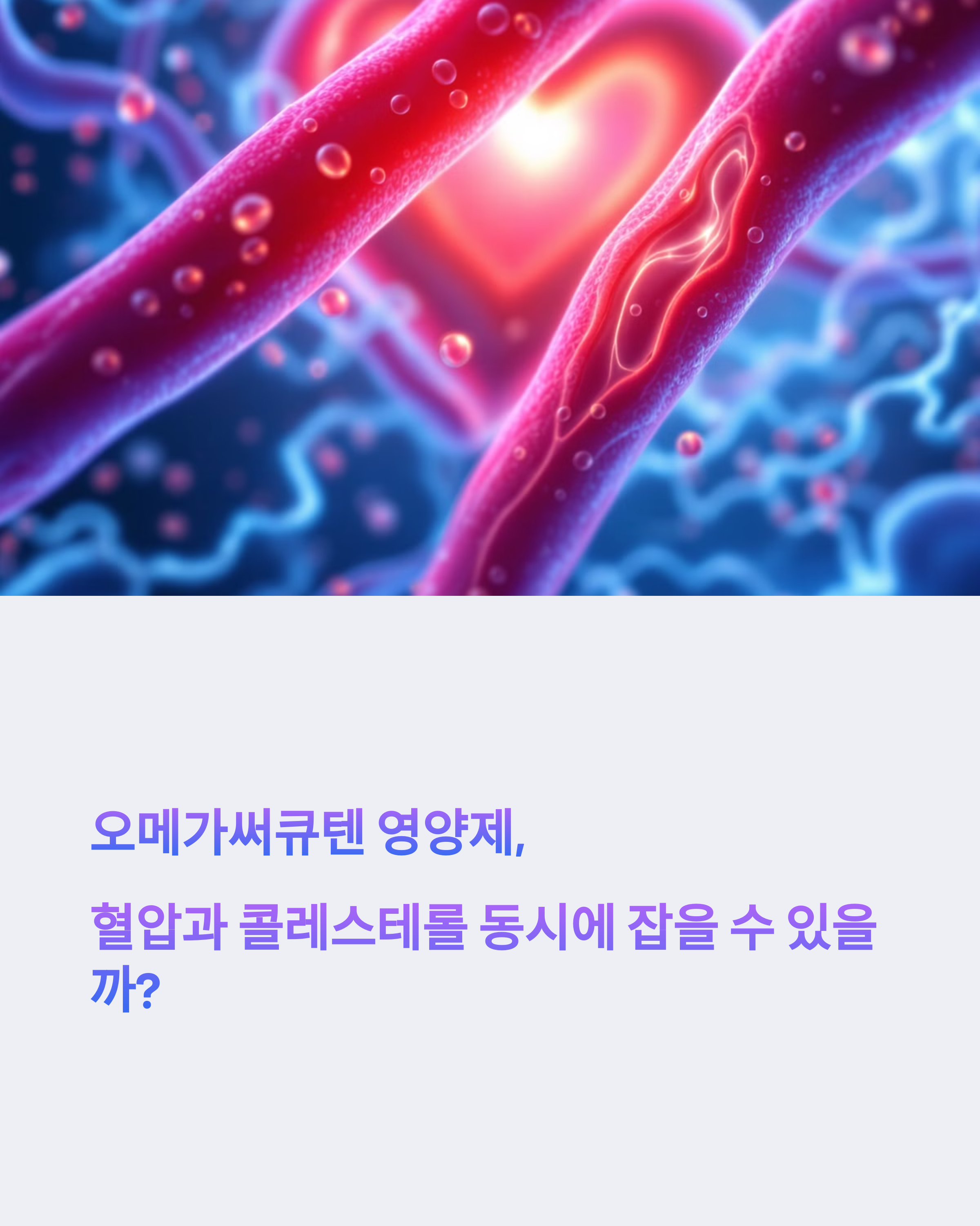 오메가써큐텐 영양제, 혈압과 콜레스테롤 동시에 잡을 수 있을까