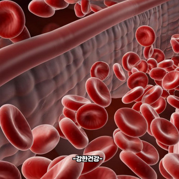 김수용 급성 심근경색