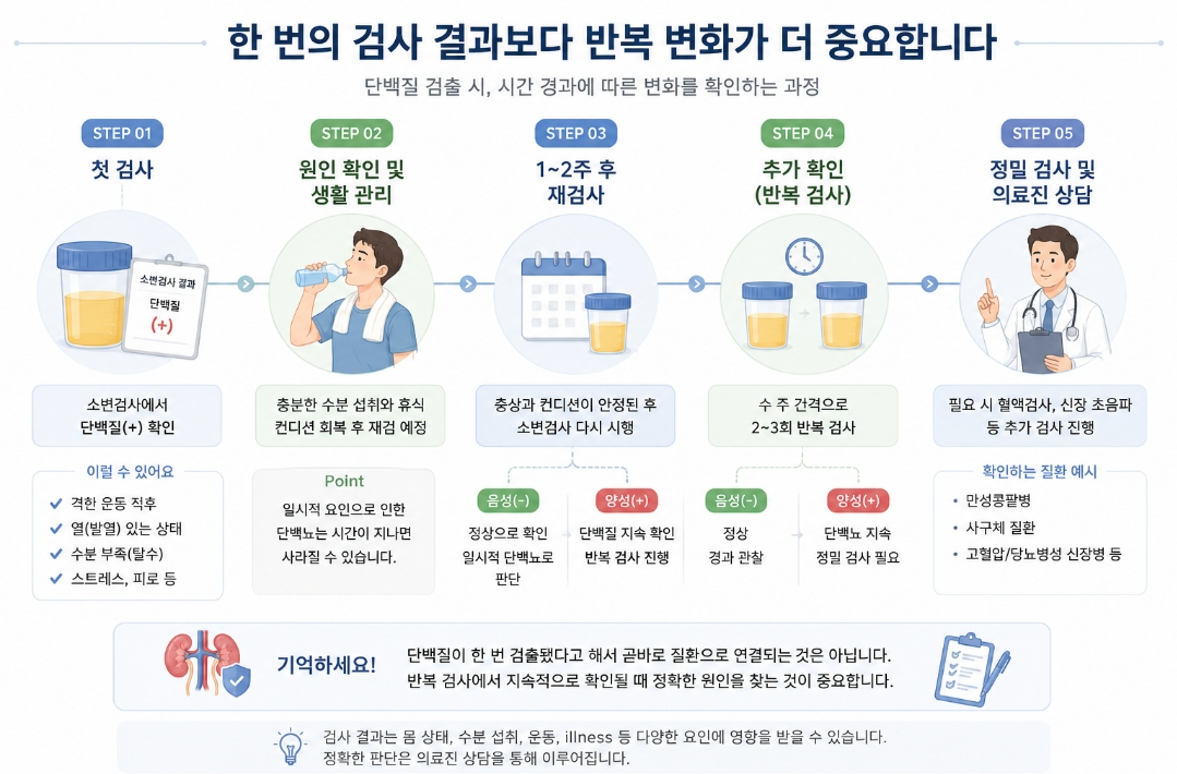 소변검사 단백질 검출