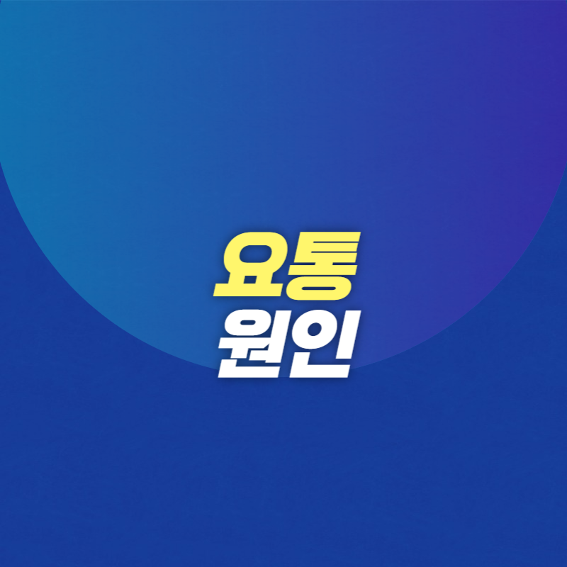 요통 원인