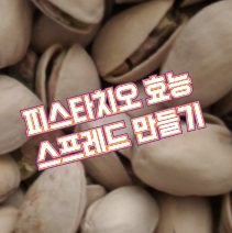 피스타치오-스프레드-만드는법