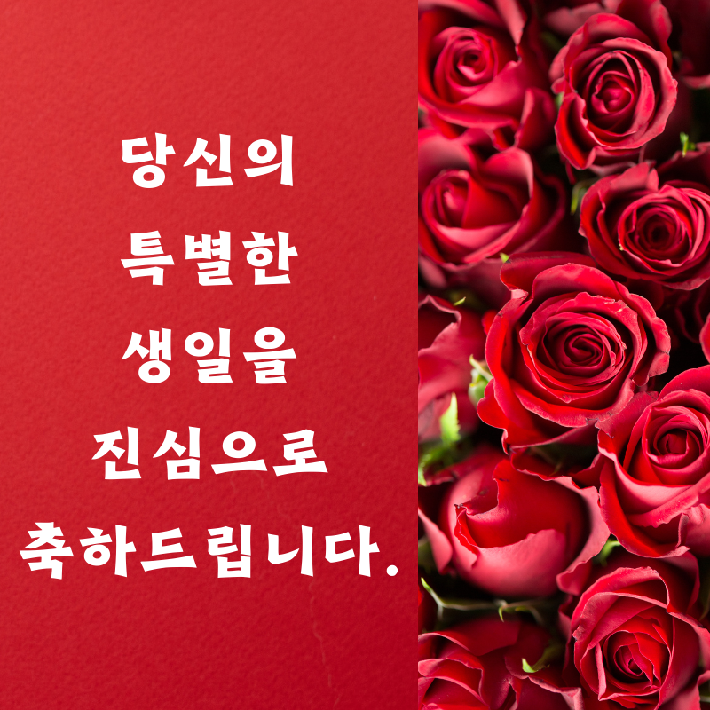 생일 축한 꽃다발 이미지