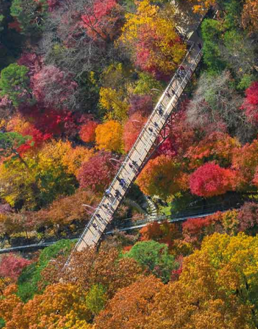 화담숲 예약, 모노레일 예약 과 서울 인근 단풍 명소 BEST 5