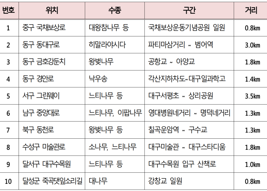 대구 명품 가로숲길 10개