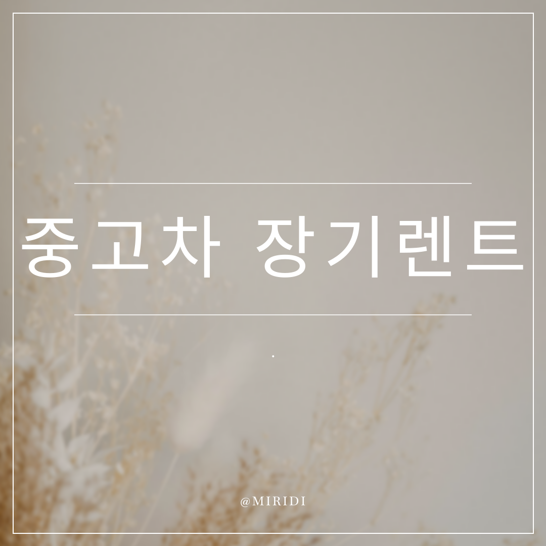 중고차 장기렌트