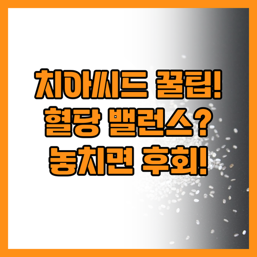 치아씨드 푸딩 레시피로 누리는 건강한..