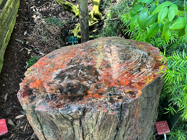 파리 식물원 : Jardin des Plantes