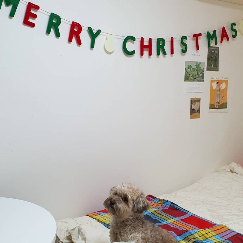 크리스마스와 토리