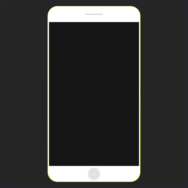 자급제 스마트폰 설정