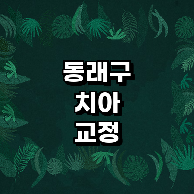 부산 동래구 교정 치과