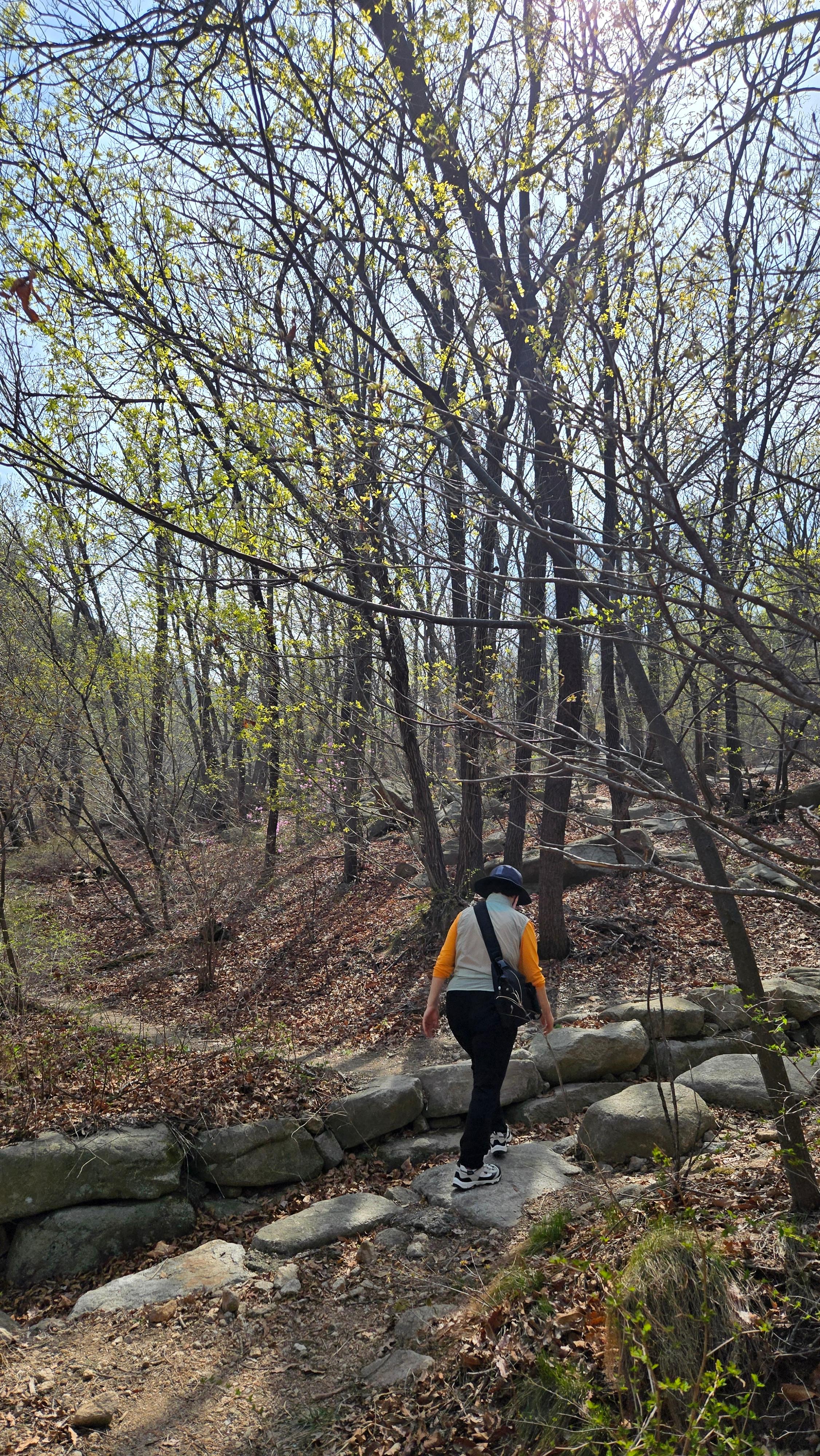 서울대입구 출발 코스