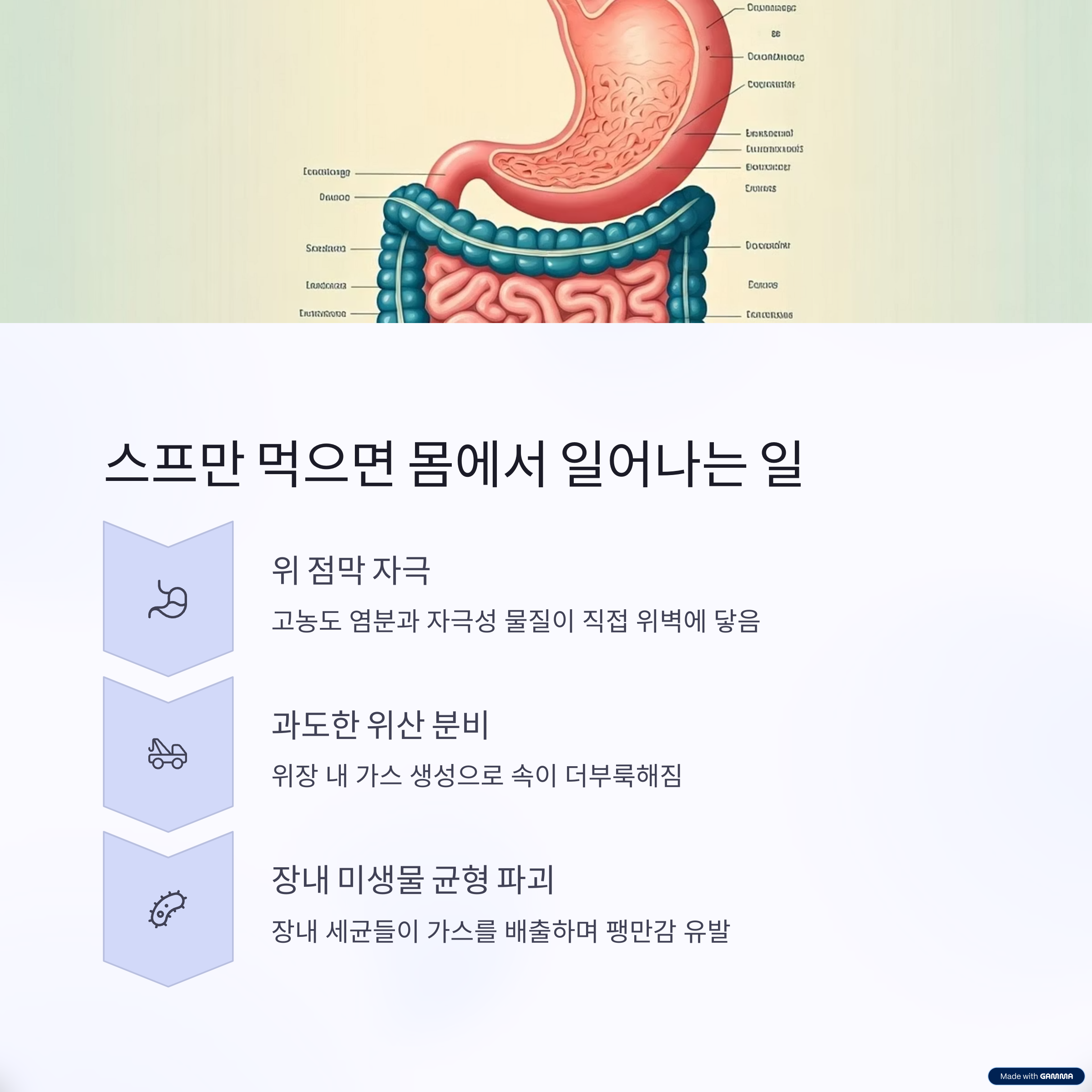 스프만 먹으면 몸에서 일어나는 일 관련 이미지