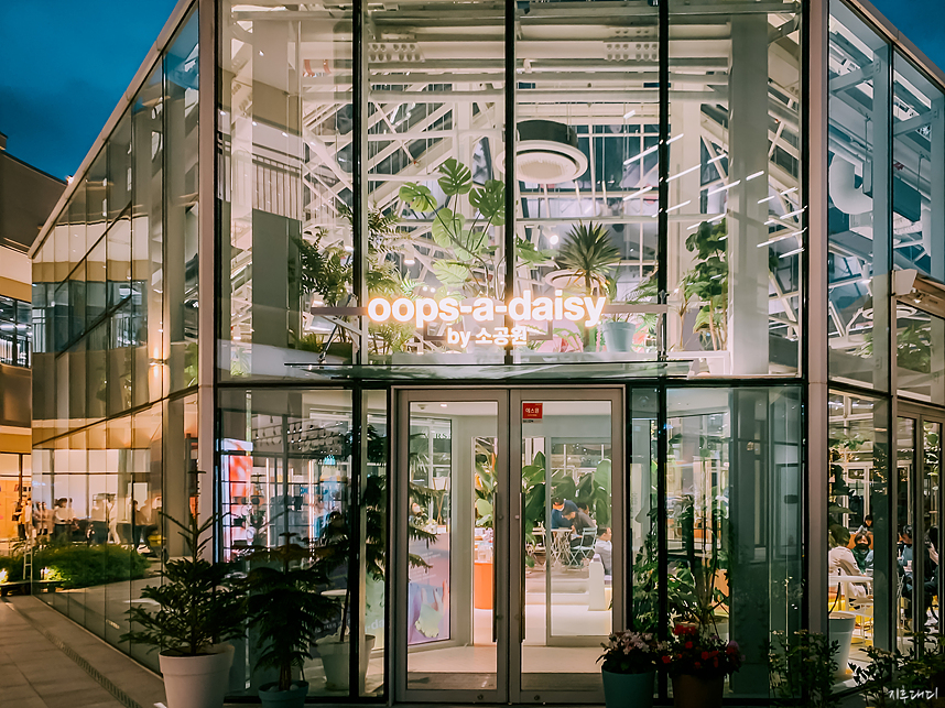 의왕 롯데몰 밤 풍경