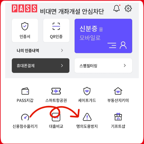 패스 명의도용방지 서비스