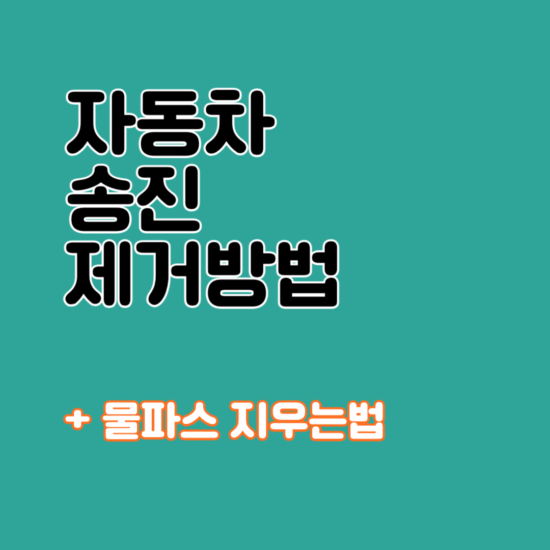 자동차 송진 제거방법