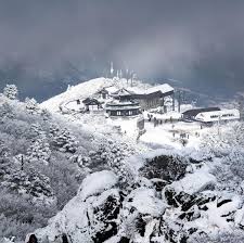 덕유산 곤도라 홈페이지