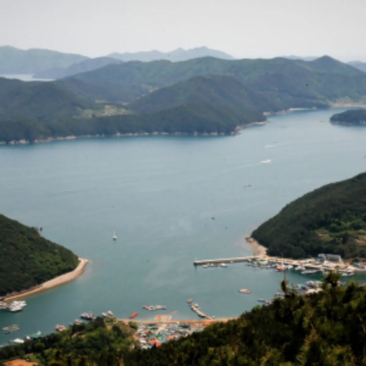 2025년 새해 일출 명소