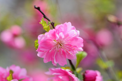 화담숲-예약하기