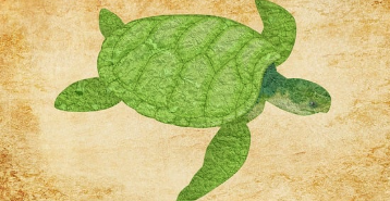 거북이 나오는 꿈 의미 및 상황별 해몽(길몽&amp;#44;태몽)