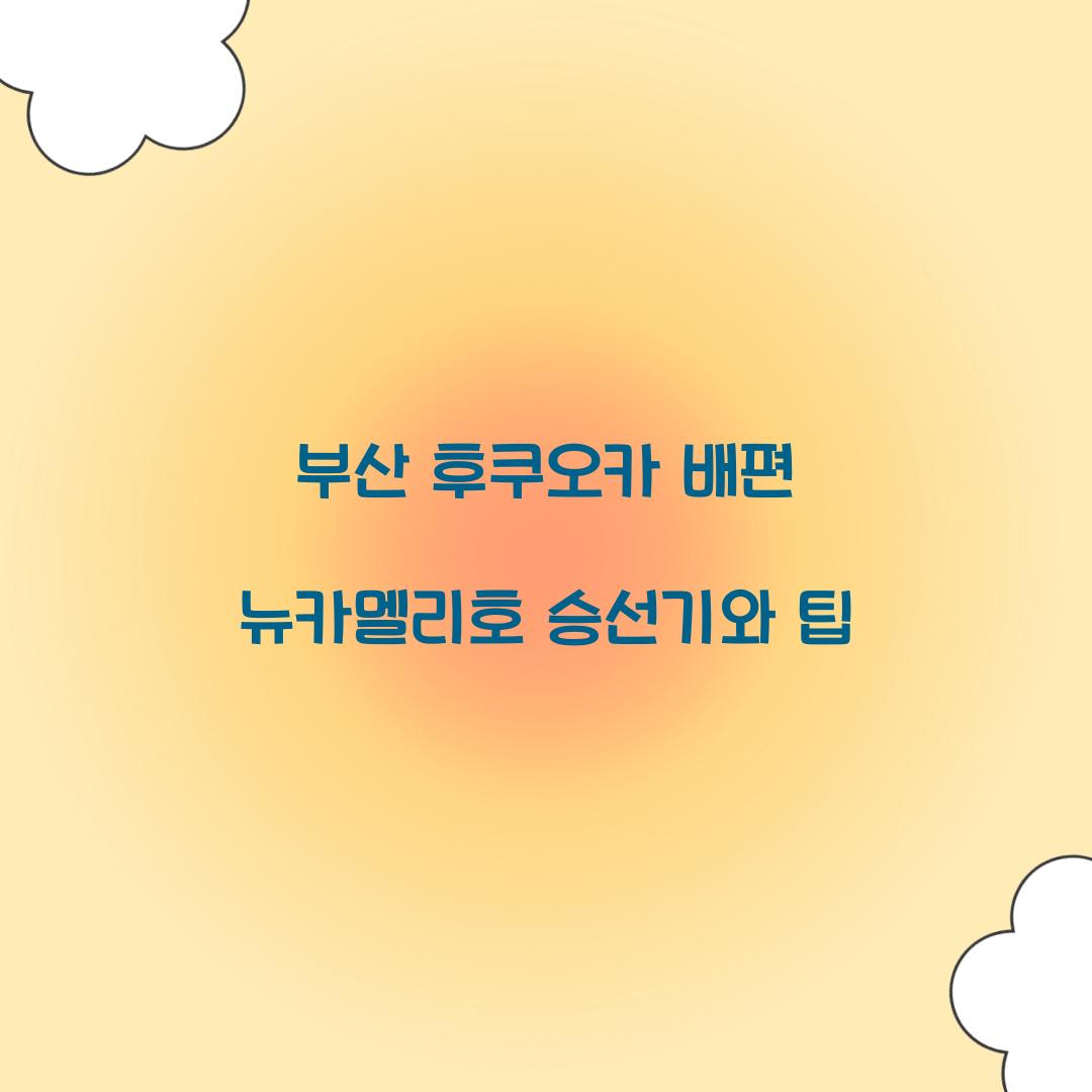부산 후쿠오카 배편 뉴카멜리호