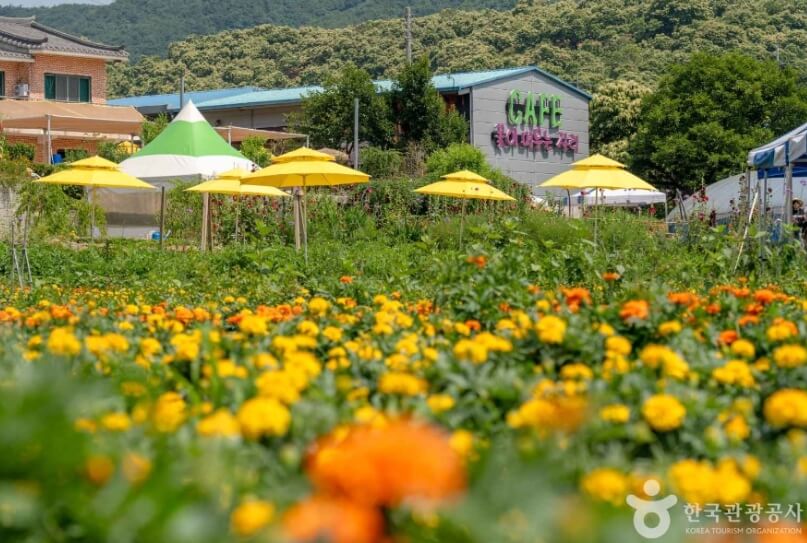 청양 가볼만한곳 베스트 10