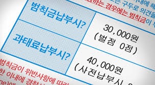 과태료와 범칙금의 차이