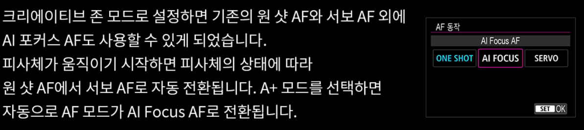 캐논 EOS R6 mark2 AI Focus AF