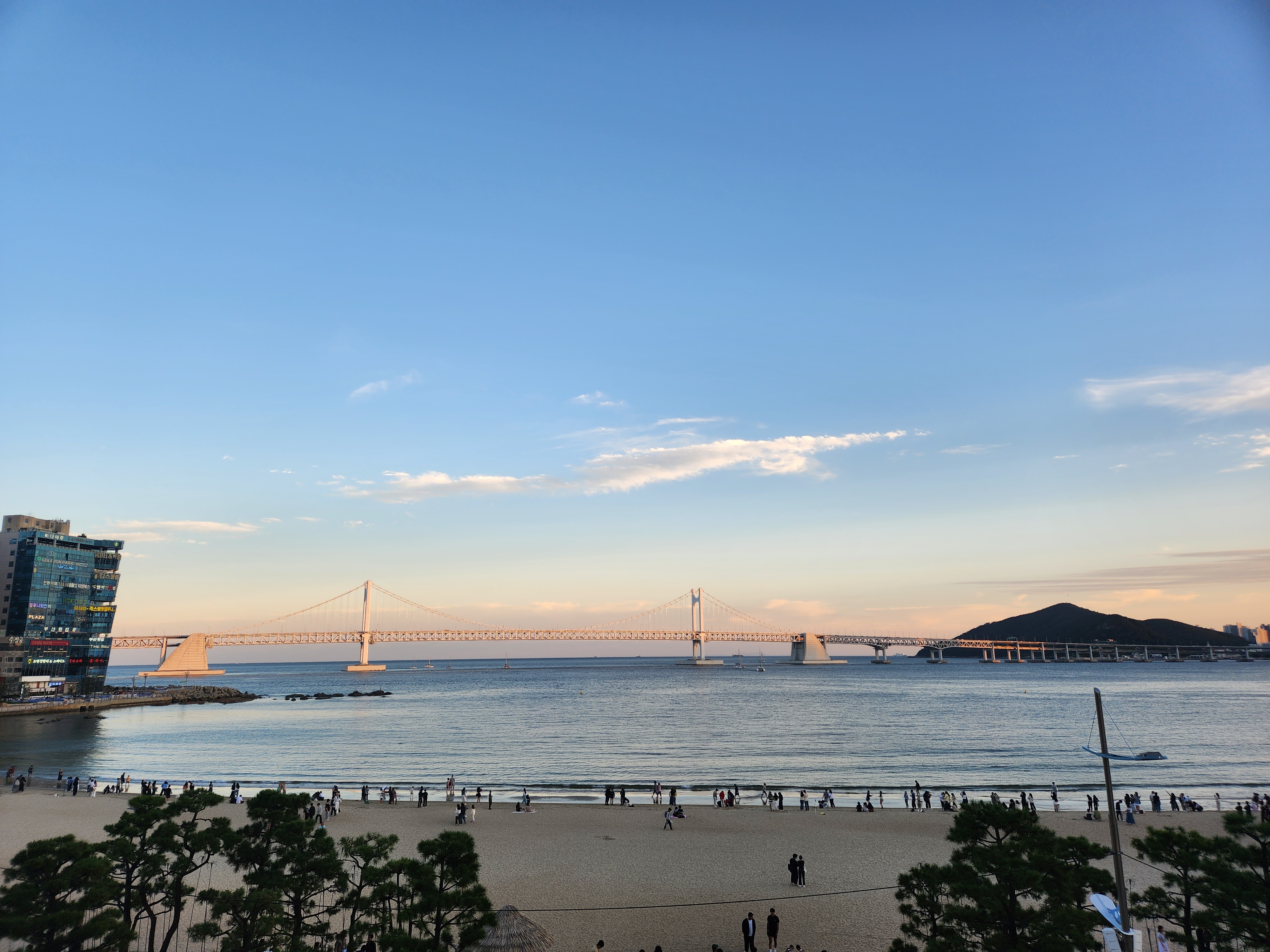 도쿄뱃살