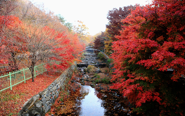 보령 성주산자연휴양림 관광 명소