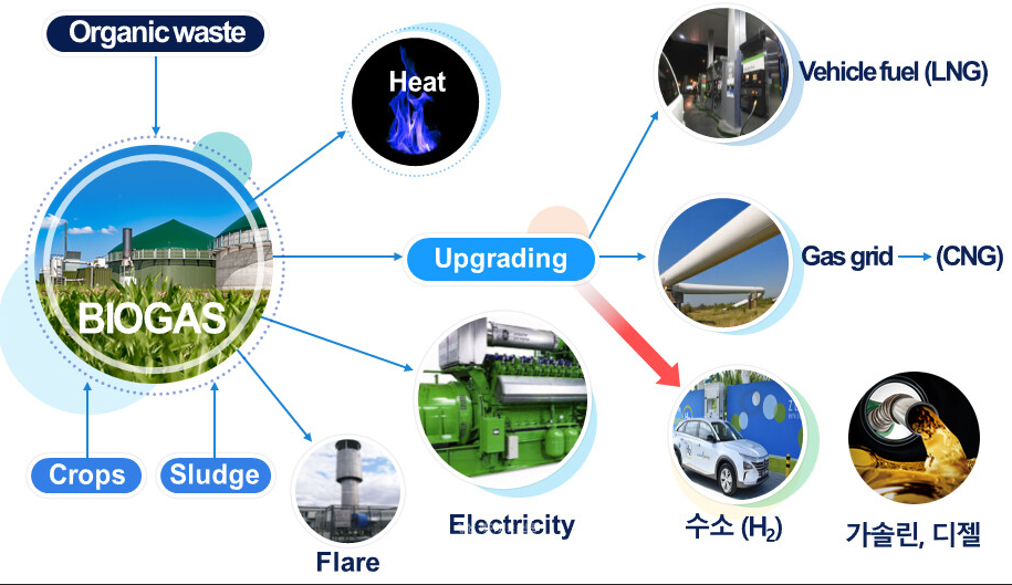 24.11.28(목) 금일 핫한 바이오연료 관련주 및 주요 종목 공시