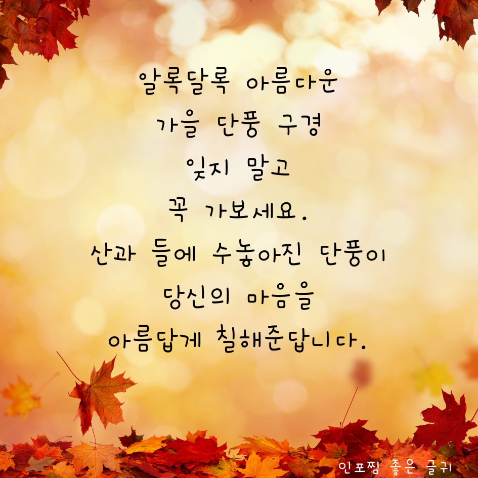 가을 인사말 문구 이미지 모음집 가을 아침 인사말 안부 메세지 모음