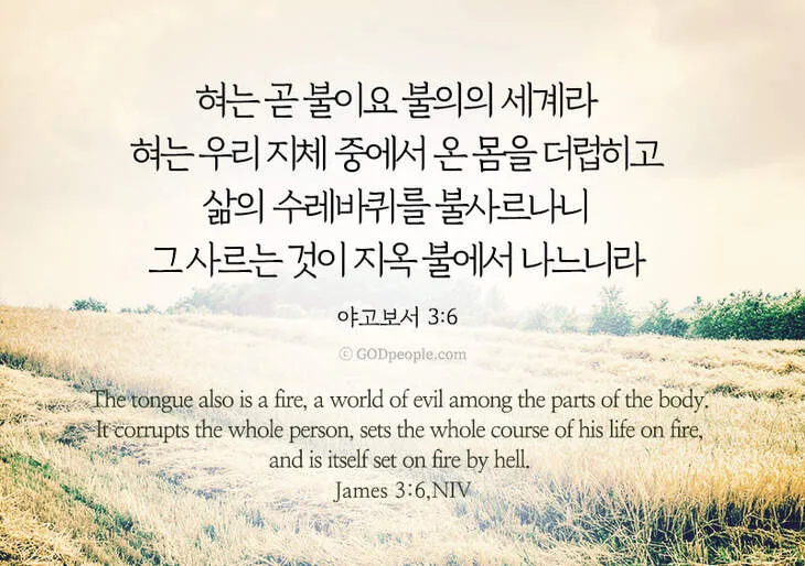 야고보서 2장 26절 해석 - 영혼 없는 몸이 죽은 것 같이 행함이 없는 믿음은 죽은 것이니라_4