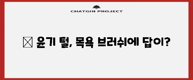 강아지 목욕 브러쉬 부드럽고 깨끗한 털 관리에 꼭 필요하죠!