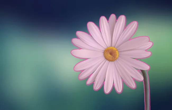 포토샵 누끼따는법
